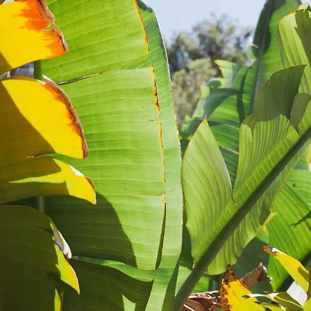 Ritual De Terra & منتجع