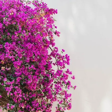 Ritual De Terra&spa Jávea