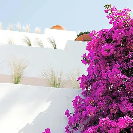 Resort Ritual De Terra&spa