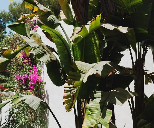 Ritual De Terra & 4*