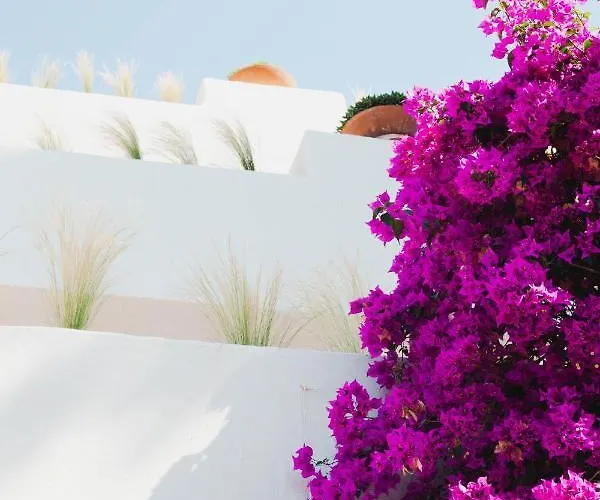 Resort Ritual De Terra&spa