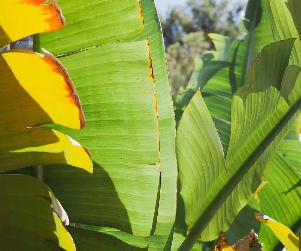 Ritual De Terra&spa Resort