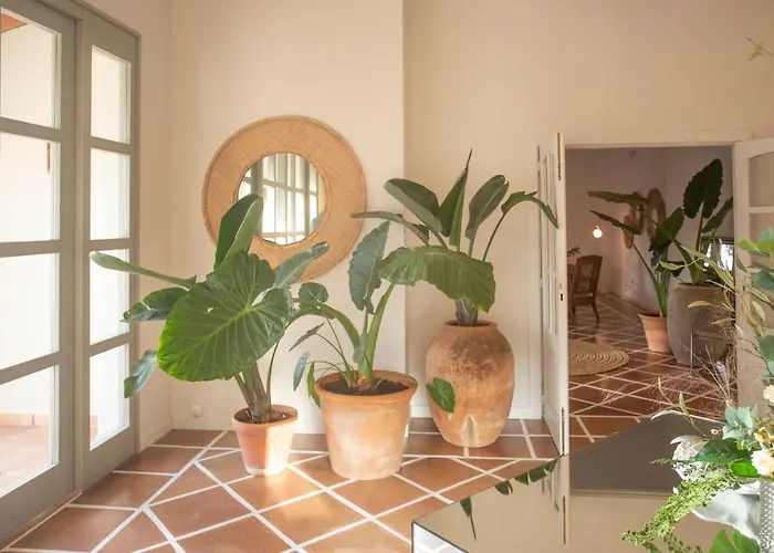 Ritual De Terra & Ośrodek wypoczynkowy 4*