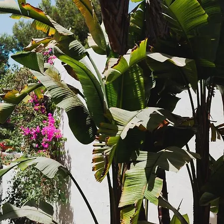 Ritual De Terra & 4*