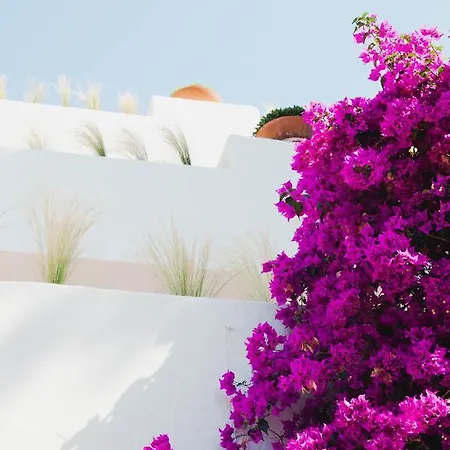 Resort Ritual De Terra &